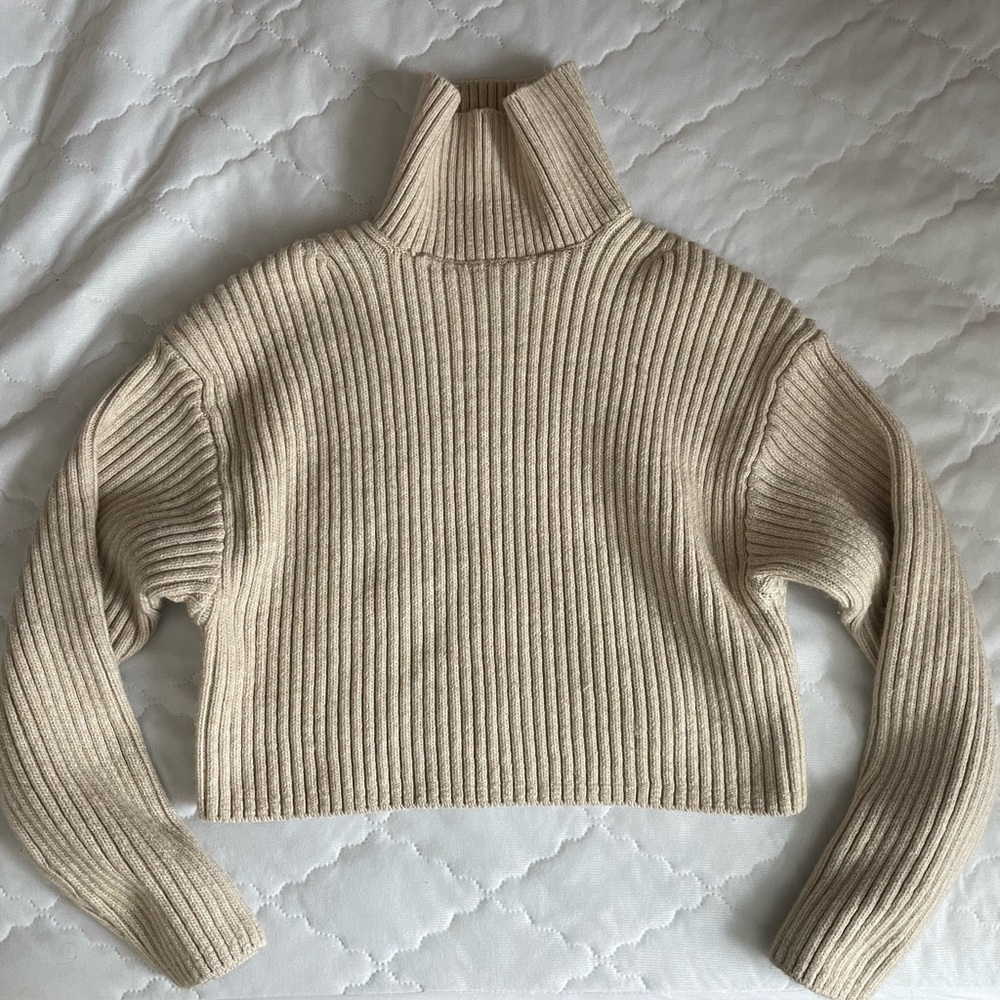 H&M Knit Turtleneck Sweater